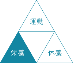 栄養