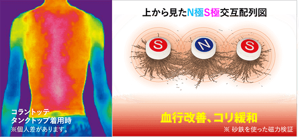 コラントッテの場合 当社比